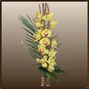 bouquet_orchidee